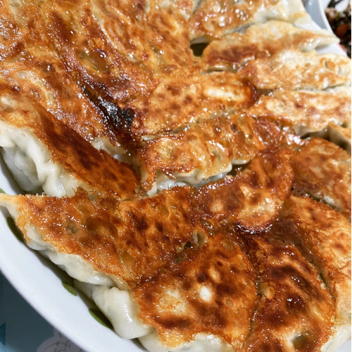 「焼き餃子」の写真