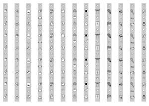 ライン：　縦（月別）